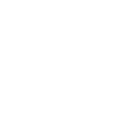 Srpska Asocijacija Menadžera